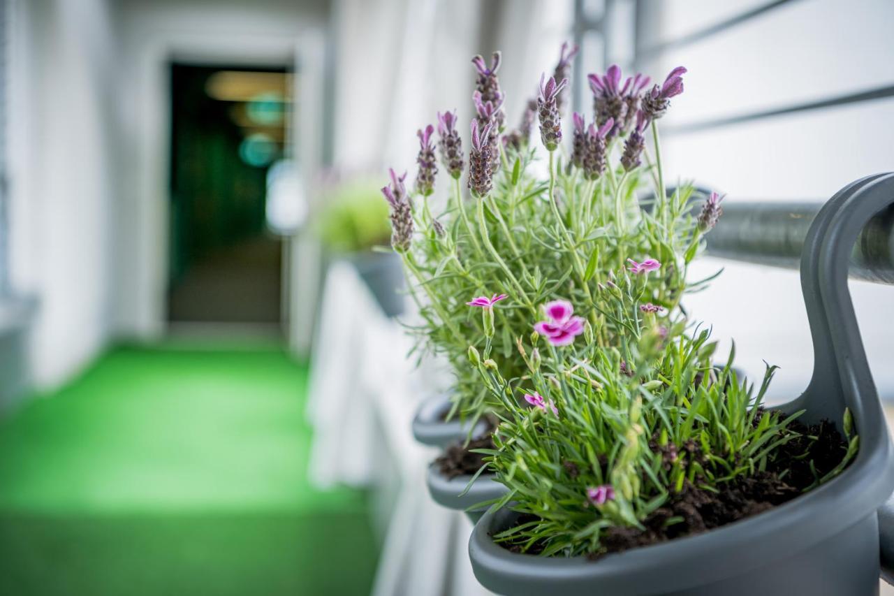 Aparthotel Alma Bonn Exterior photo